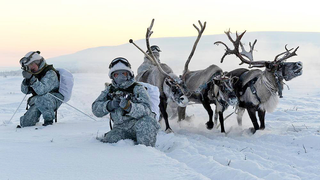 Russian Soldiers Go Native For Arctic Ops Using Reindeer And Dogsleds